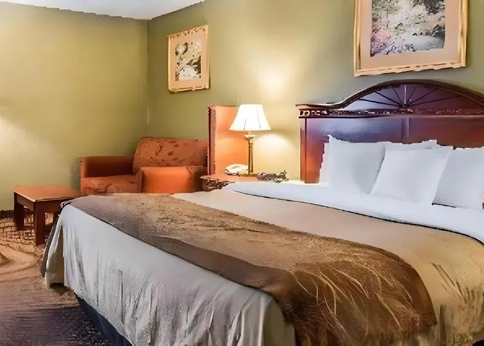 Quality Inn & Suites Ann Arbor Hwy 23